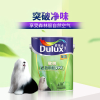 多乐士(Dulux)A742+A748 致悦竹炭抗甲醛净味全效 油漆涂料 内墙乳胶漆 墙面漆白色套装18L