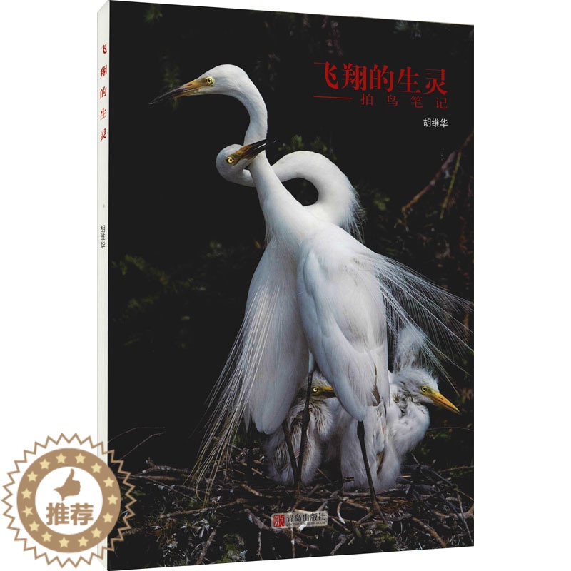 [醉染正版]飞翔的生灵 胡维华 青春言情小说故事经典作品读物图书 书籍 青岛出版高清大图