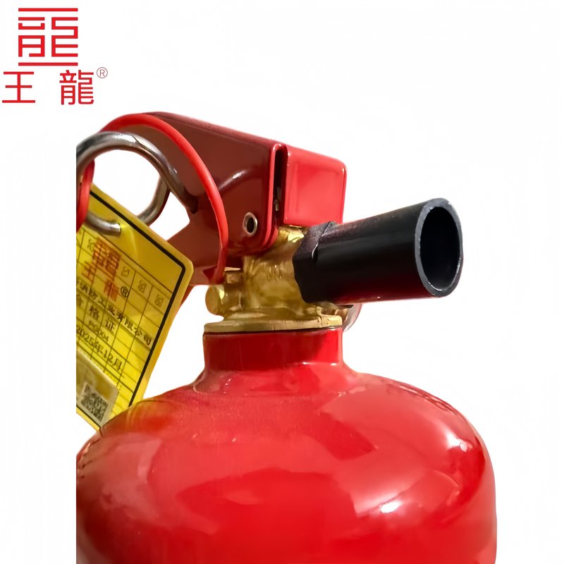 王龍 手提式干粉灭火器 1千克 新国标 具高清大图