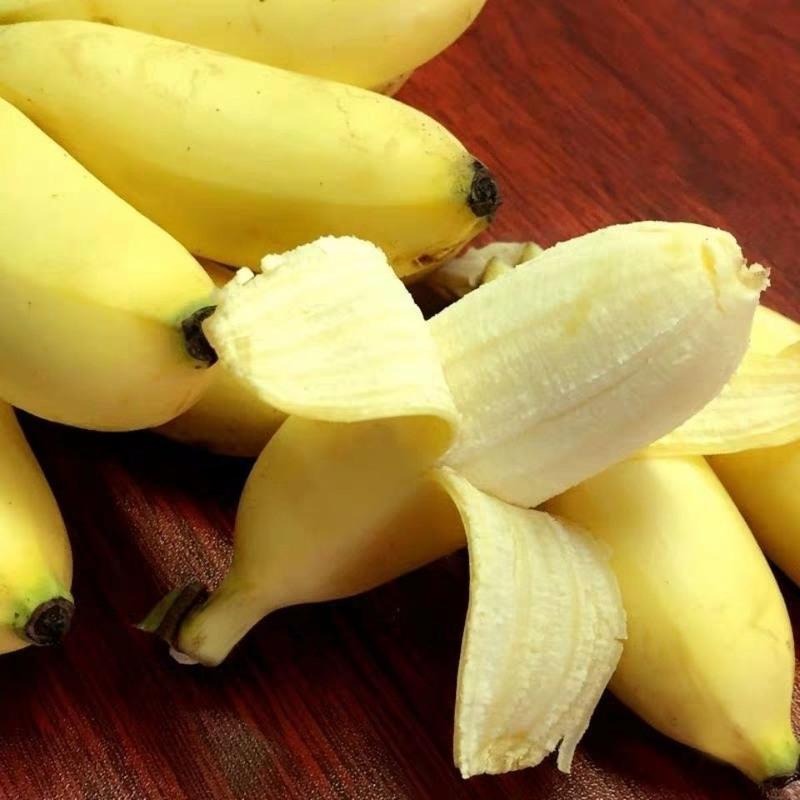 赛卡伊 【泡沫箱】 广西小米蕉 当季新鲜水果小米蕉