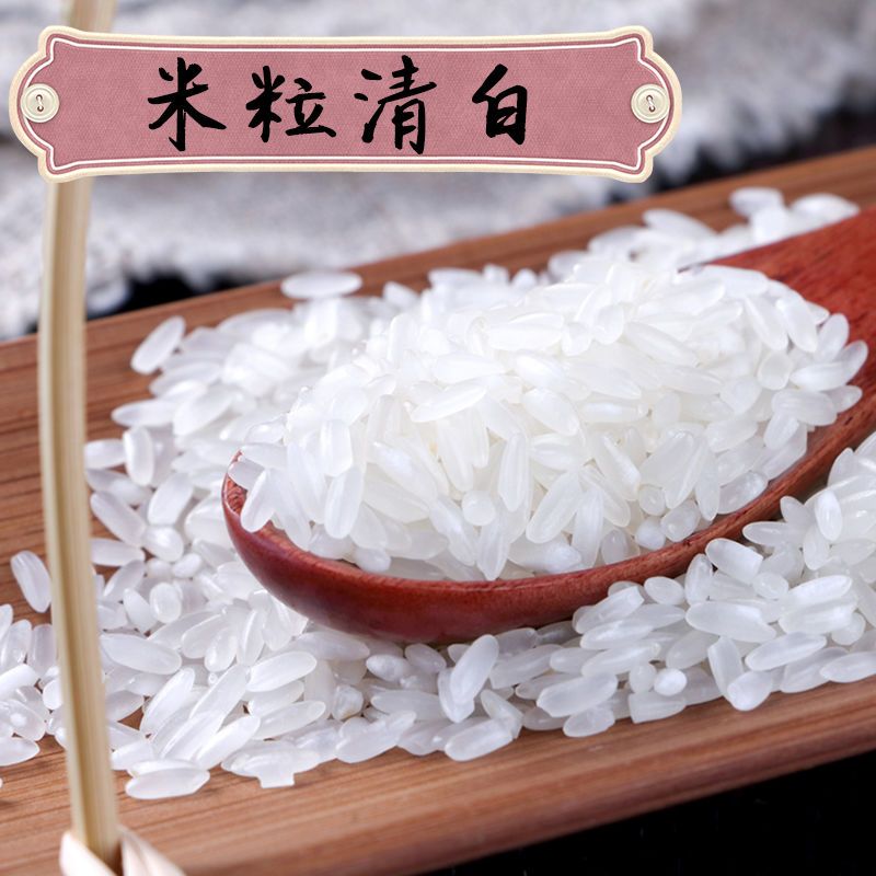 五常大米东北大米稻花香粥米长粒香米新米五常稻花香粥米20斤