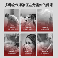 杜邦 (DUPONT)空气净化器 G550A 家用办公除尘除甲醛净化器除雾霾 消毒除菌除烟味 宠物除异味[可清洗滤网]