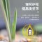 兰灵王兰花专用肥营养液肥料促花活化剂药蝴蝶兰科兰陵王微生物