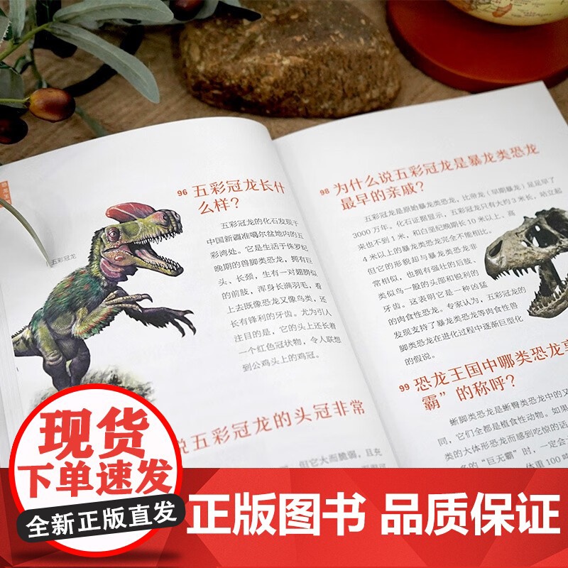 正版 你不可不知的十万个恐龙之谜 9-12周岁儿童揭秘科普百科全书四五六年级中小学生寒暑假课外阅读高清大图