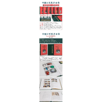 音像中国工艺美术全集(技艺卷1雕塑篇)(精)杨明 著