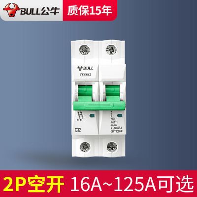 2P空开[别称:双片双进双出] 16A 公牛空气开关空开 2P-32A小型家用空开短路电闸过载保护断路器63A