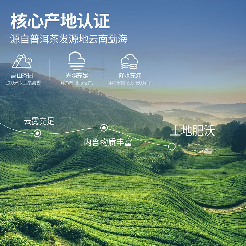 忆江南 愚余斋荷韵普洱225g高清大图