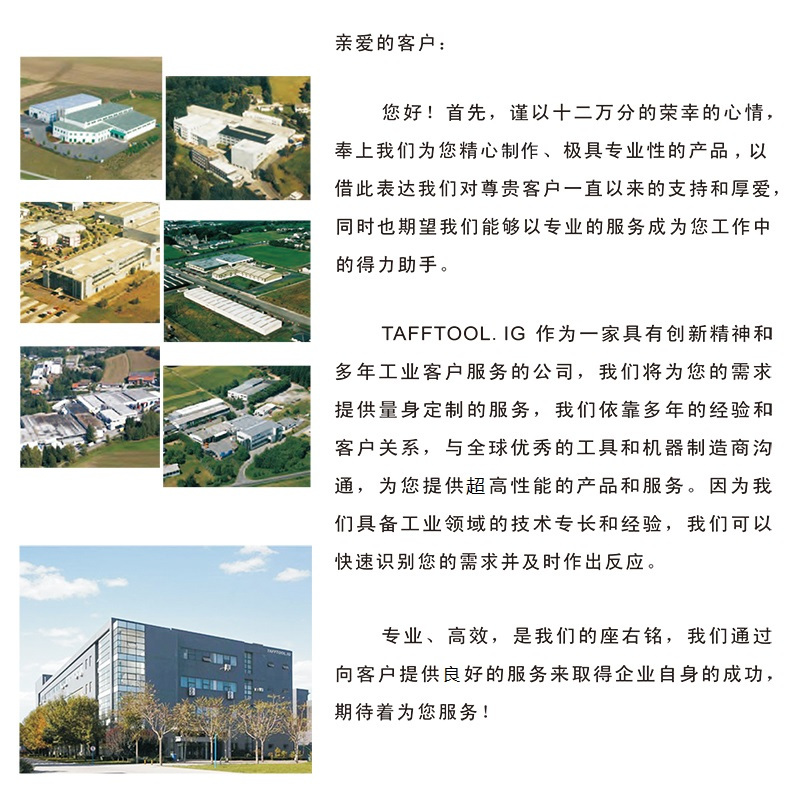 塔夫(TAFFTOOL) TZ6010122 手持式数字示波器