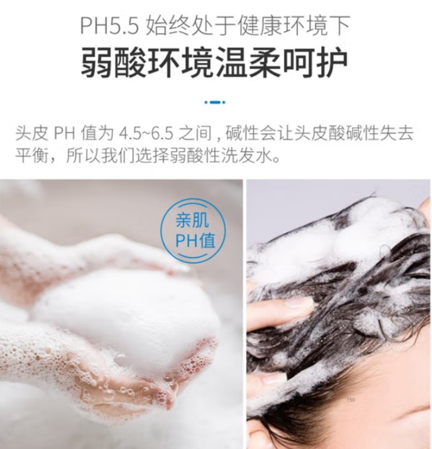 b2v 墨藻修护护发素750ml 24瓶高清大图