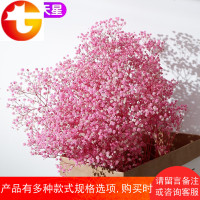 ins大束粉色满天星花束天然干花真花摆件永生花插花家居装饰摆设