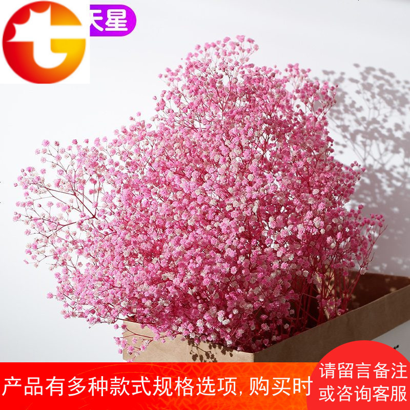 ins大束粉色满天星花束天然干花真花摆件永生花插花家居装饰摆设