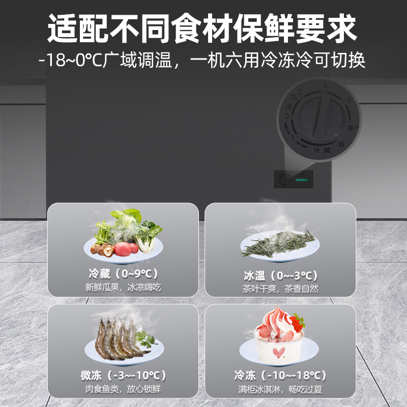 星星(XINGX) 300L 家用冷柜 卧式冷柜 冷藏冷冻转换柜 安全圆角 微霜系统 节能省电 BD/BC-300R