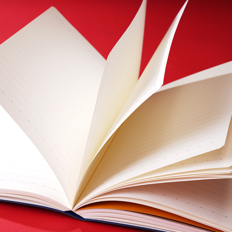 日记本办公书写本notebook文创记事本学生奖品礼品生日礼物>800_800