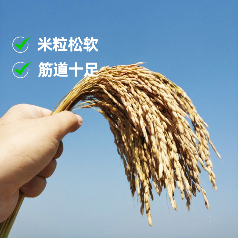 田园小农夫 绿色五常大米 精选稻花香2号 5kg*1袋 真空装(包装随机)2025年新米 五常大米 原粮稻花香2号高清大图