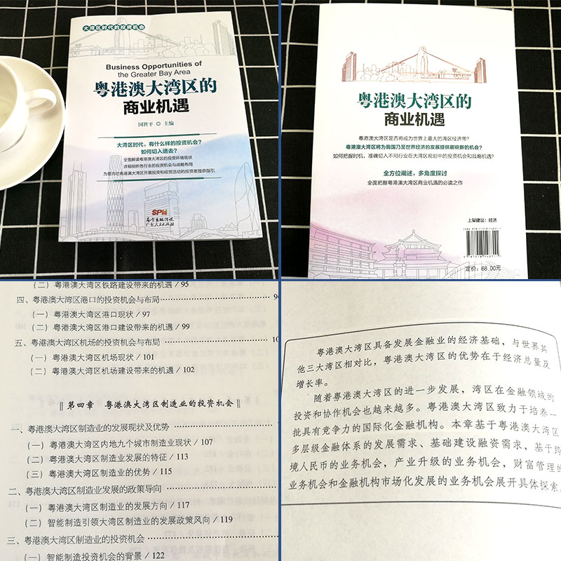 [正版]粤港澳大湾区的商业机遇中国经济区域经济国世平高清大图