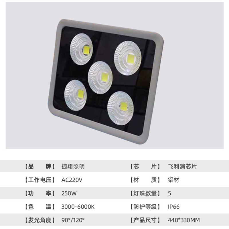 企购优品 螺旋灯泡led投光灯户外防水投射广场球场照明灯400瓦塔吊灯工地船用400W欧司朗光源白光默认尺寸