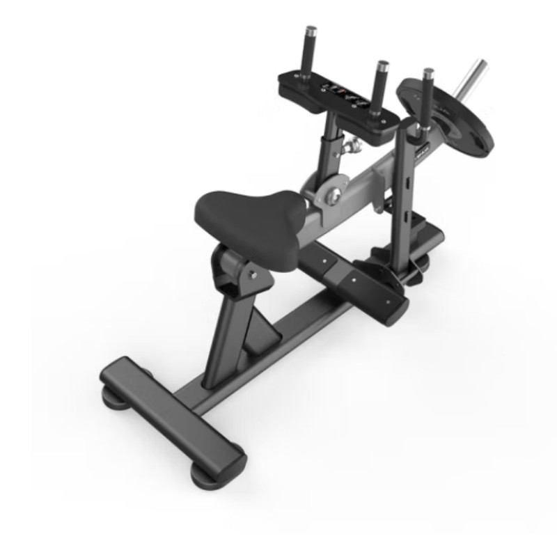 舒华(SHUA)小腿提踵训练器 商用健身器材 SH-G6910