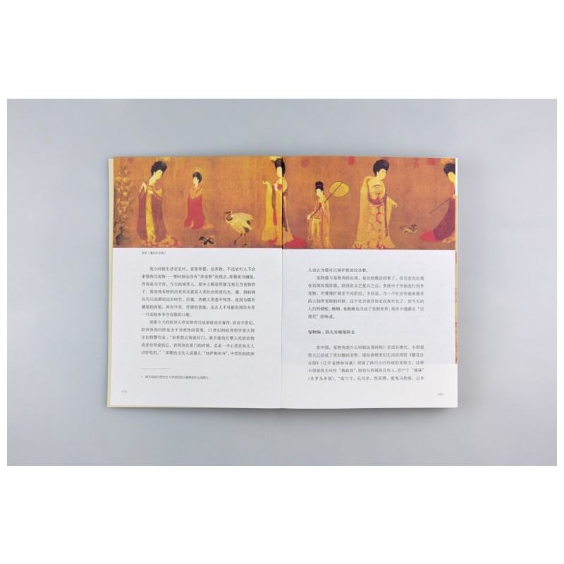 [正版]风雅宋:看得见的大宋文明 吴钩 著 著 宋辽金元史社科 书店图书籍 广西师范大学出版社高清大图