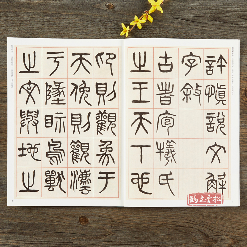 [正版]杨沂孙篆书说文解字叙 清代篆书名家经典彩色高清放大本超清原帖 毛笔篆书练字帖古帖临摹附繁体旁注 赵宏编中国书店