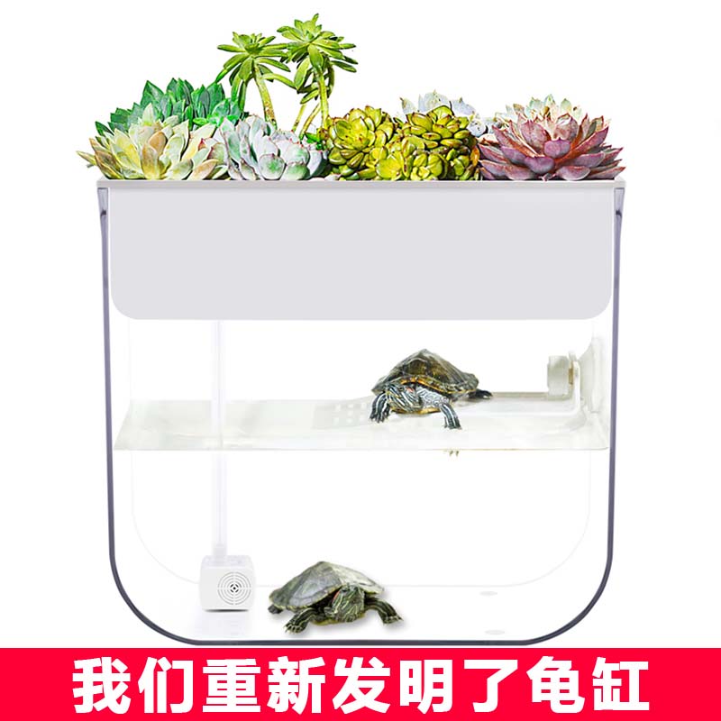 龟缸亚克力小型豪华创意透明免换水净化水循环原生态鱼缸乌龟缸高清大图
