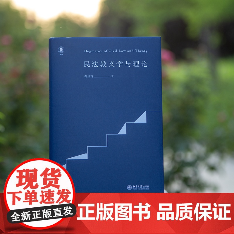 民法教义学与理论 孙维飞 著 法学理论社科 正版图书籍 北京大学出版社高清大图