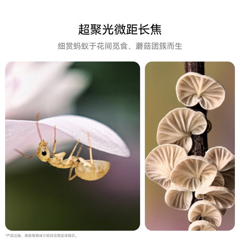 华为 Pura70 Pro(HBN-AL00)12GB+256GB 罗兰紫/羽砂黑/雪域白 标准版高清大图
