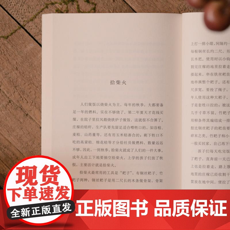 旧乡 李力广西师范大学出版社高清大图