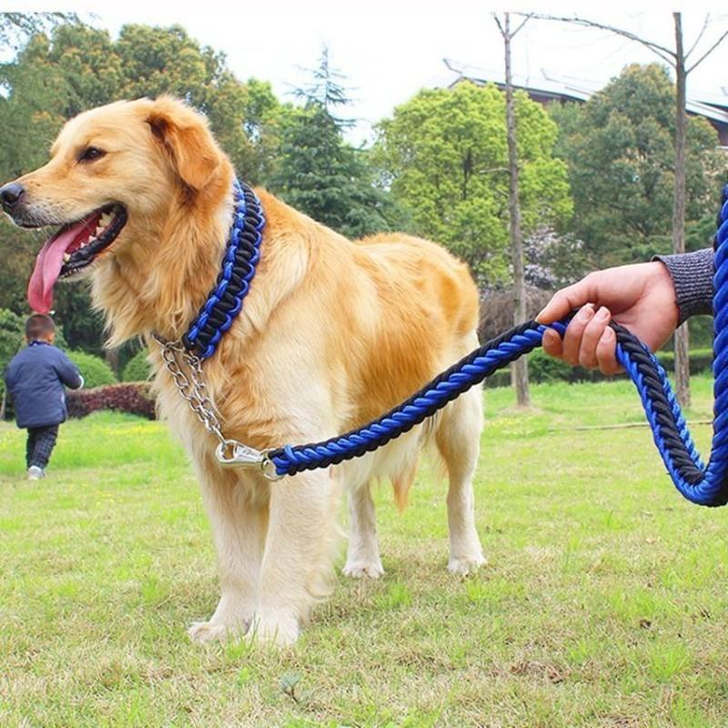 狗链狗绳子金毛萨摩边牧德牧狼狗大中型犬牵引遛狗绳项圈狗狗用品
