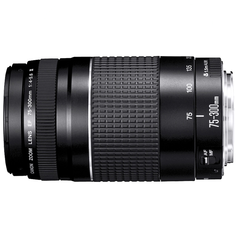 佳能(Canon) EOS 750D(18-55mm+75-300mmIII) 数码单反相机 双镜头套装 约2420万像高清大图