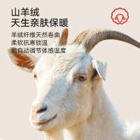 南极人无痕秋裤男士德绒发热保暖裤男款羊绒衬裤冬季大码打底线裤