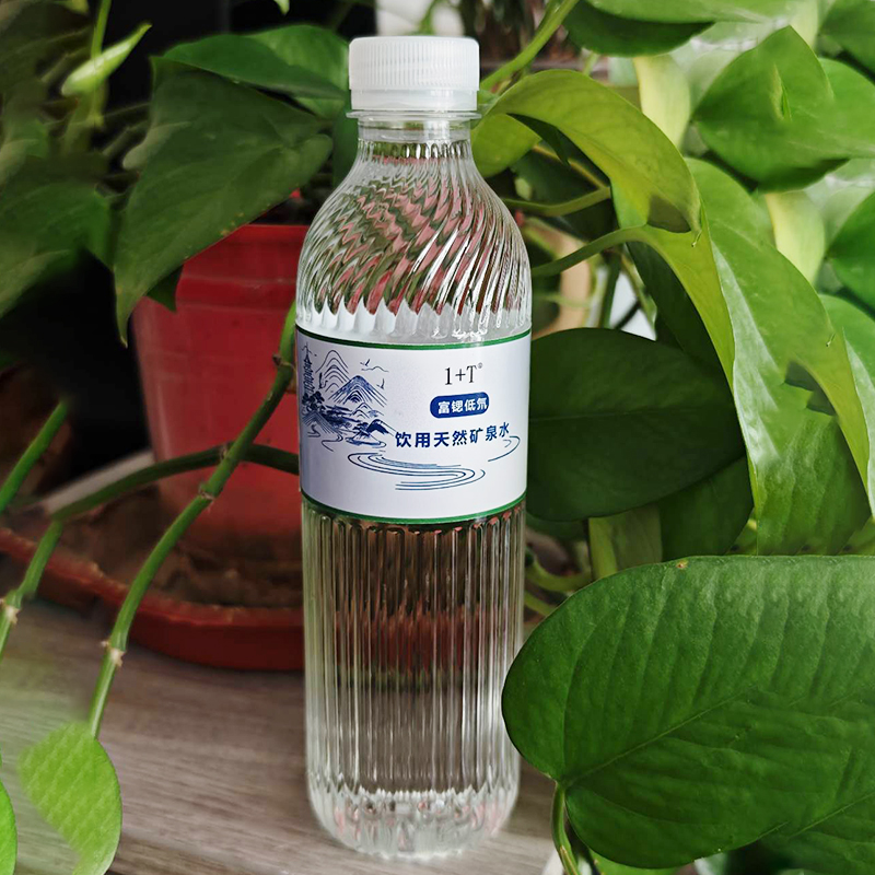 1+T 富锶低氘饮用天然矿泉水 500ml*24瓶/箱高清大图