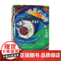 世界的边缘 北海的文化史与欧洲的演变 迈克尔·派伊 著 社会科