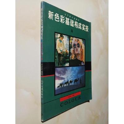 11新色彩基础构成实技9787531412311LL