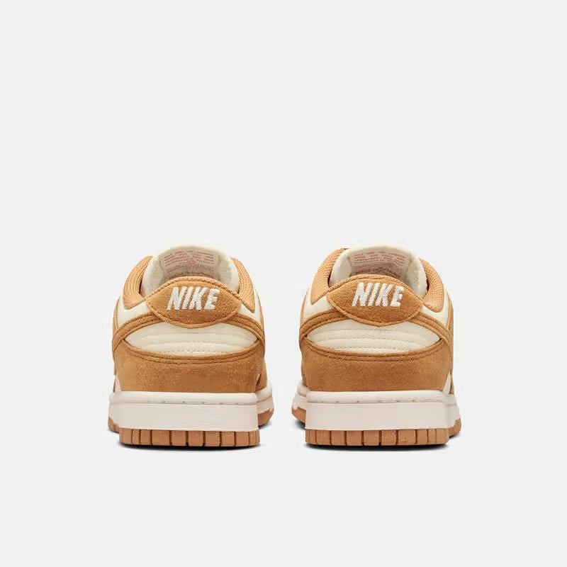 耐克(NIKE)2024女舒适百搭日常户外板鞋休闲鞋HJ7673100