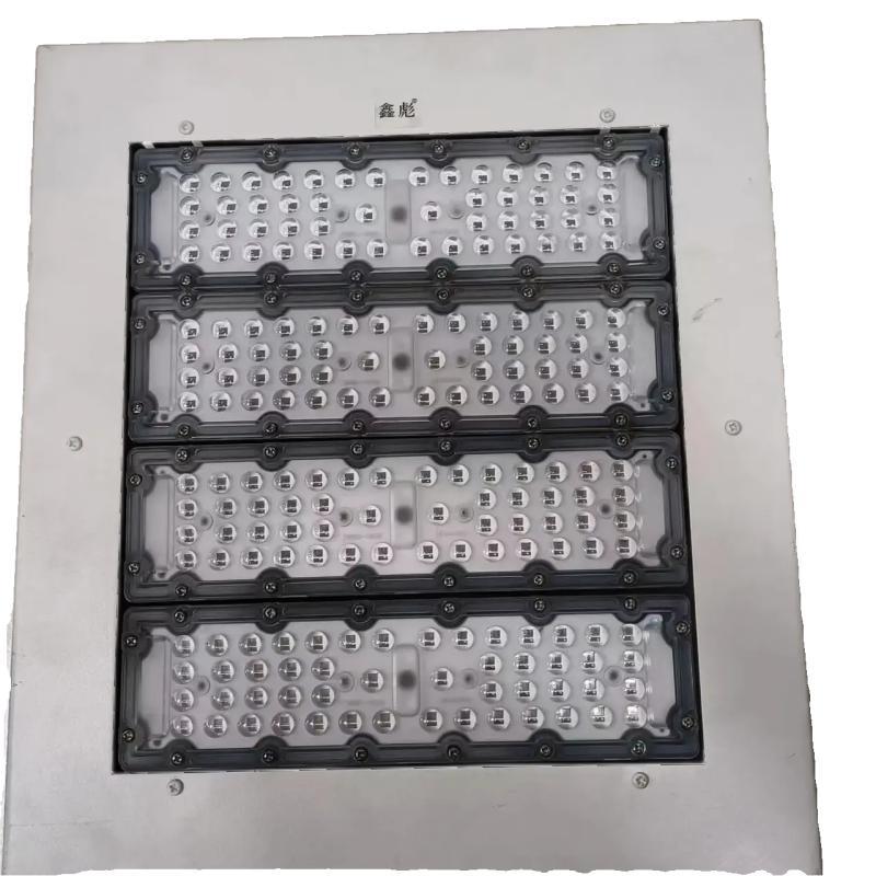 鑫彪隧道灯XS-200W/盏高清大图