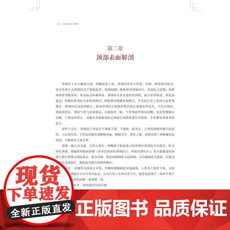 人体表面解剖图解 国海东牟芳芳主编上海科学技术出版社西医基础医学图书高清大图