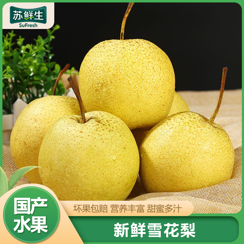 [苏鲜生]河北精品雪花梨 新鲜水果 松脆多汁 净重8.7-9.2斤 单果300g以上 1