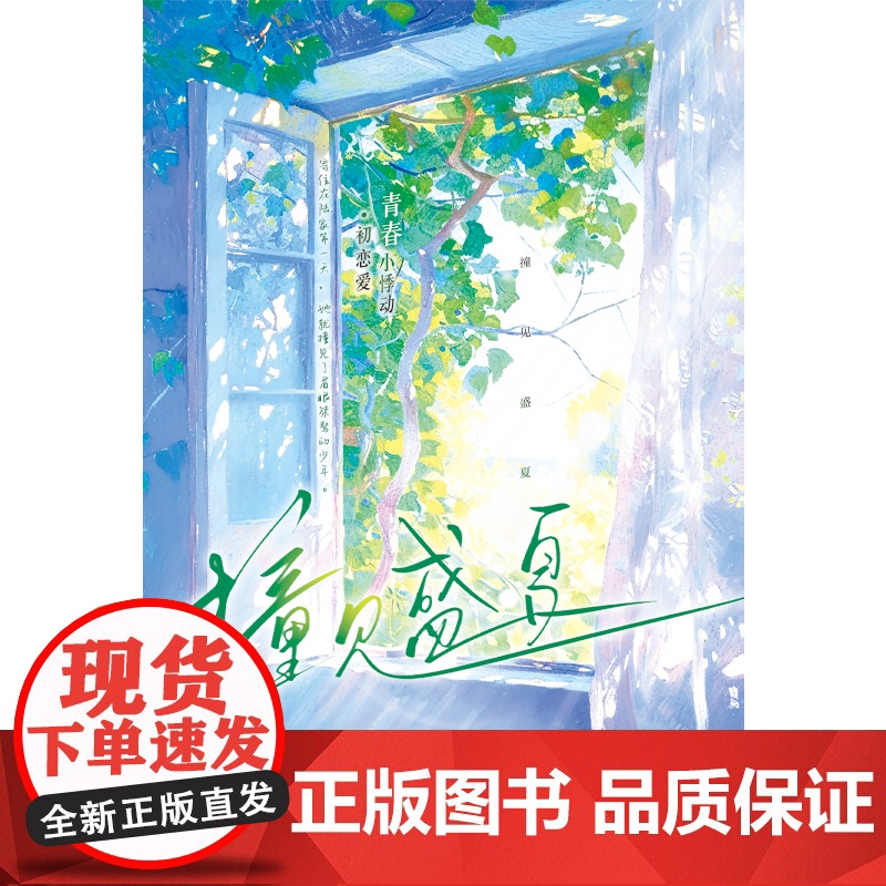 撞见盛夏高清大图