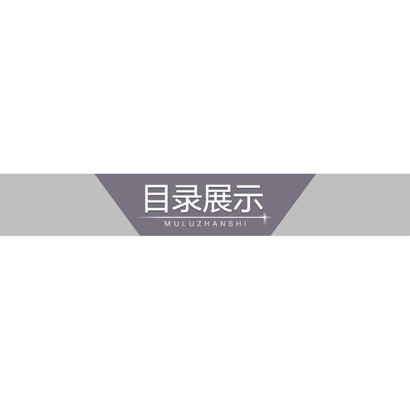 正版新书]5·3小学基础练 积累与默写 语文 4年级 上册曲一线9787高清大图