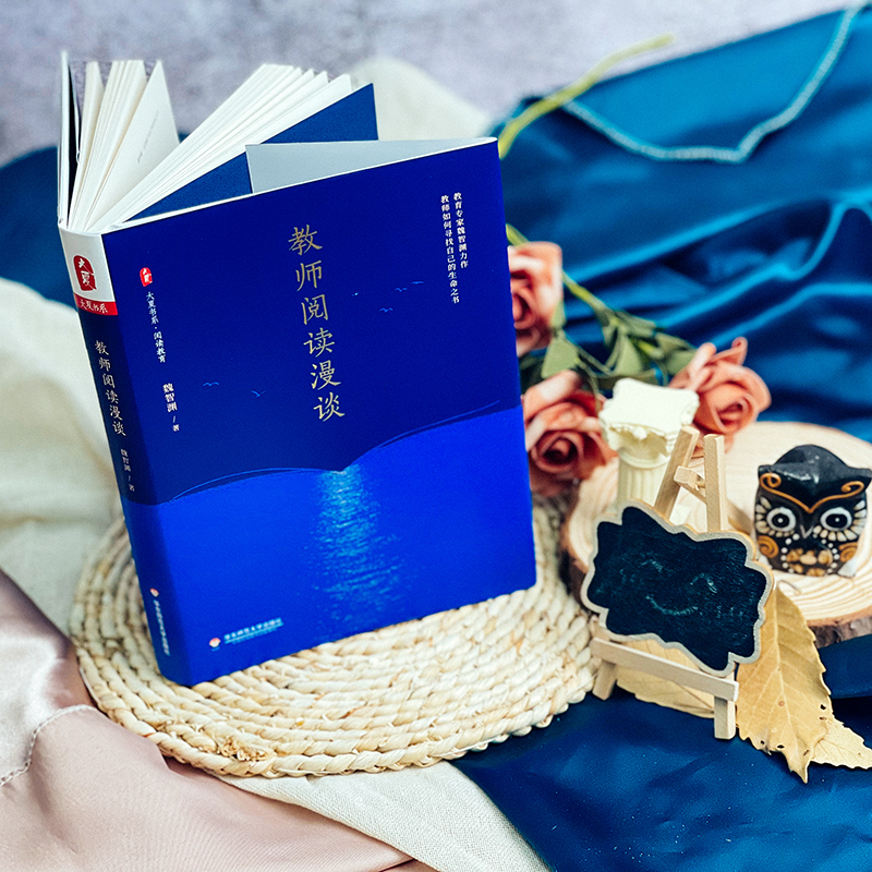 [正版]教师阅读漫谈 大夏书系阅读教育 魏智渊 教师专业发展阅读方法论建议一本通 自我修养成长突围内功修炼中小学教师教高清大图