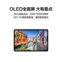 华为HUAWEI MatePad Pro 12.6英寸 2021平板电脑 8GB+256GB WIFI 冰霜银 麒麟9000E芯片 鸿蒙HarmonyOS OLED全面屏 八扬声器
