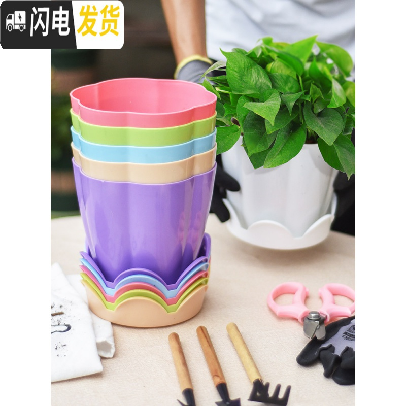 三维工匠大号加厚塑料花卉多肉花盆家用园艺种莓苗大盆栽绿萝花盆送托盘 园艺小工具三件套 大花盆容器高清大图