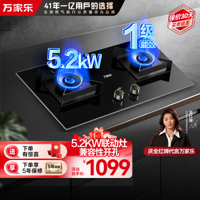 万家乐燃气灶JZT-AY9