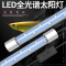 鱼缸灯小鱼缸LED灯增色特价LED防水锦鲤专用照明鱼缸照明灯