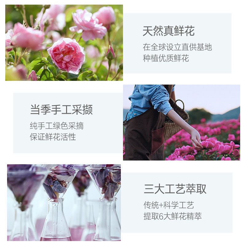 樱花720ml+玫瑰720ml 两瓶装蔻斯汀樱花花瓣沐浴露香水持久留香洗澡家庭装学生男女通用