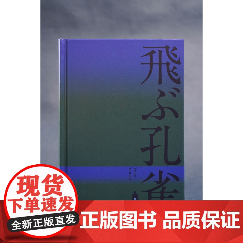 飞翔的孔雀 [日]山尾悠子 著 日本幻想文学代表作家山尾悠子 以冷峻诗意的笔触,塑造出一个美丽而残酷的异世界 幻高清大图