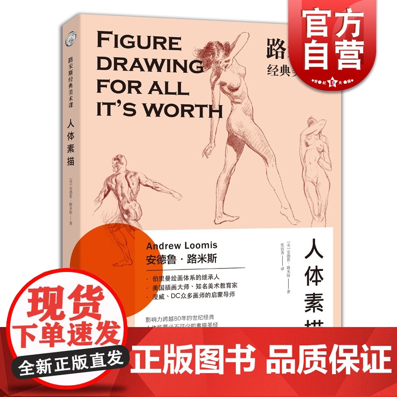 正版 路米斯经典美术课-人体素描 安德鲁路米斯 西方经典美术技法译丛 西方人体静物写生素描绘画美术艺术教程 上海人民美术高清大图