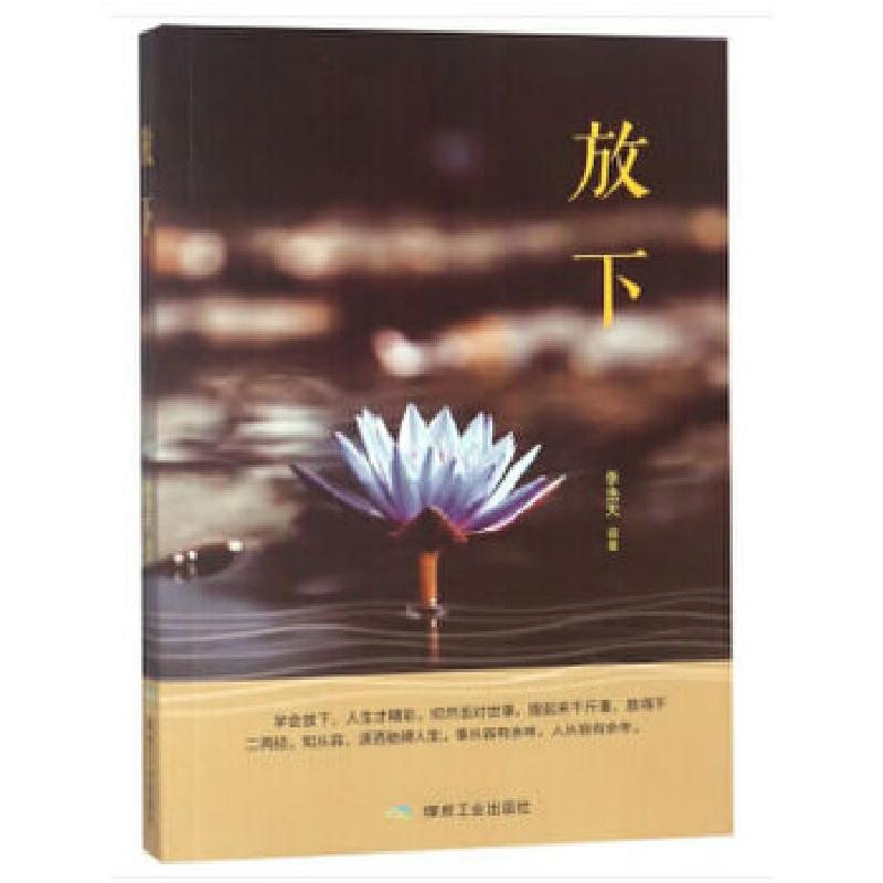 正版新书]放下李浩天著9787502068387高清大图