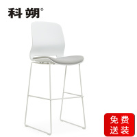 科朔 办公椅休闲椅接待椅高脚椅吧椅单软包 KS-D1926-2
