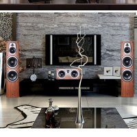Hivi/惠威 D600家庭影院5.0家用客厅音响套装木质音箱